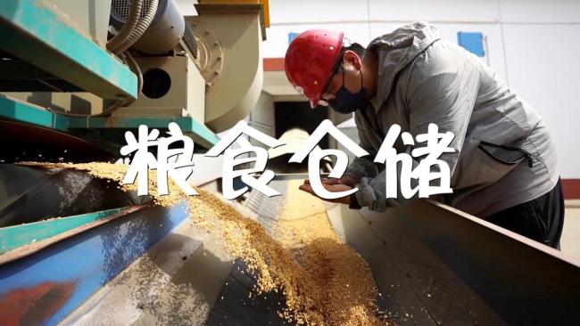 开云 开云体育平台防止跑冒滴漏 端牢中国饭碗——杜绝粮食浪费全流程追踪(图4)