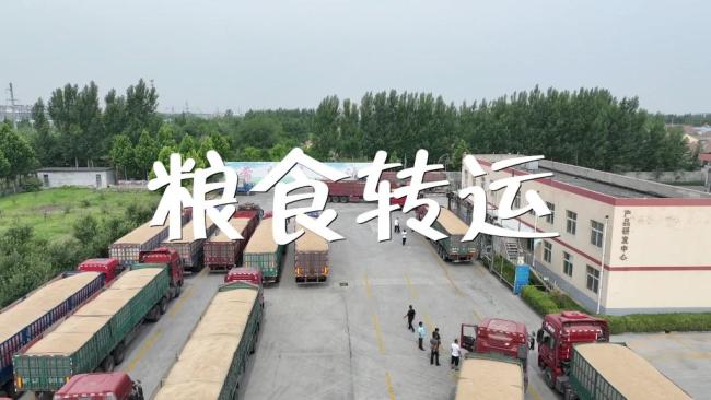 开云 开云体育平台防止跑冒滴漏 端牢中国饭碗——杜绝粮食浪费全流程追踪(图12)