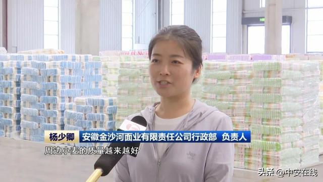安徽开云 开云体育官网省夏粮收购稳步推进(图7)
