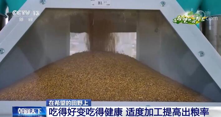 Kaiyun 开云在希望的田野上 吃得好变吃得健康 适度加工提高出粮率(图3)