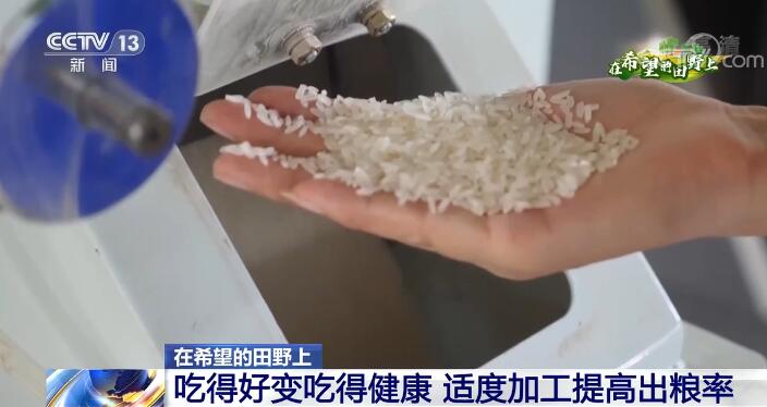 Kaiyun 开云在希望的田野上 吃得好变吃得健康 适度加工提高出粮率(图2)