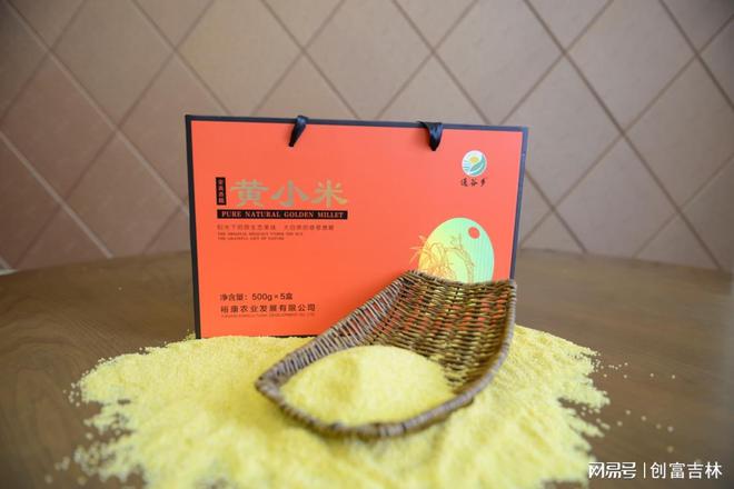裕康农业专注小米深加工开云 开云体育平台(图2)