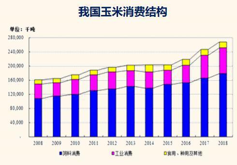 开云APP 开云官网入口佟毅：我国玉米加工的未来正发生技术性变革(图3)