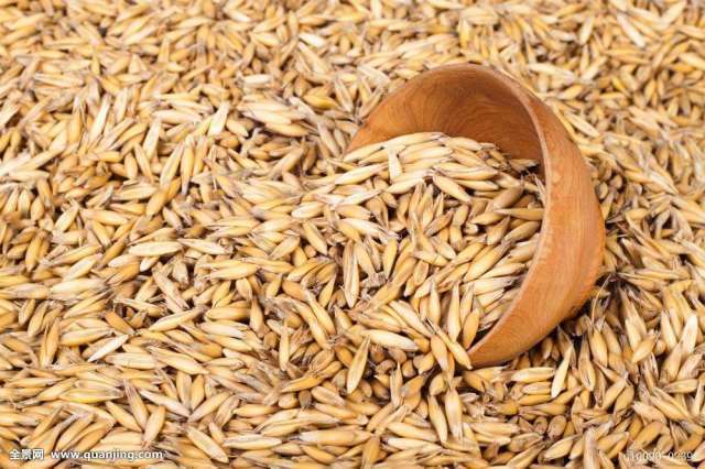 粮食产业大而不强怎么破？他开云体育 开云平台们把小麦加工成500多种产品了！(图2)