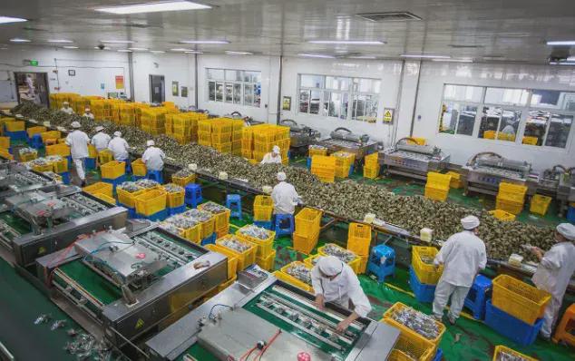 开云体育 开云平台创富内参：这几个10万以内的小型加工厂做好了年收入百万(图2)