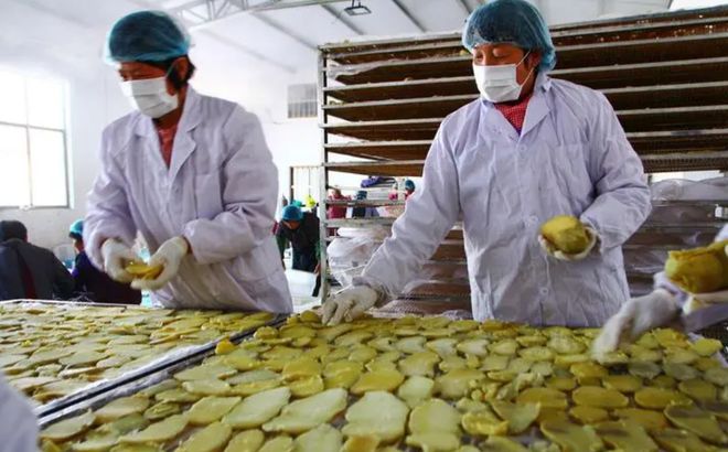 开云体育 开云平台创富内参：这几个10万以内的小型加工厂做好了年收入百万(图3)