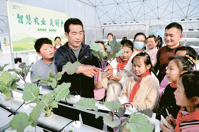 新时开云 开云体育平台代新征程加快建设农业强国的战略部署(图3)