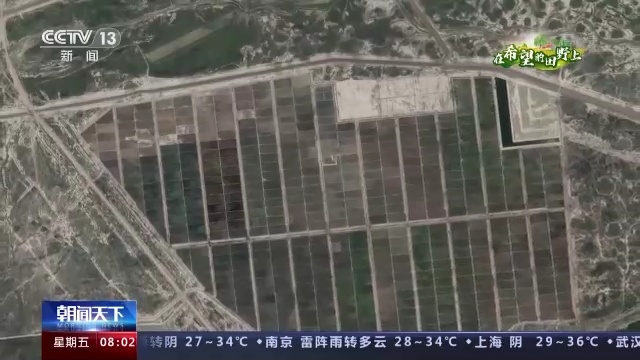 在希望的田野上丨盛夏农忙时 看粮食生开云 开云体育平台产新方式都有啥(图2)