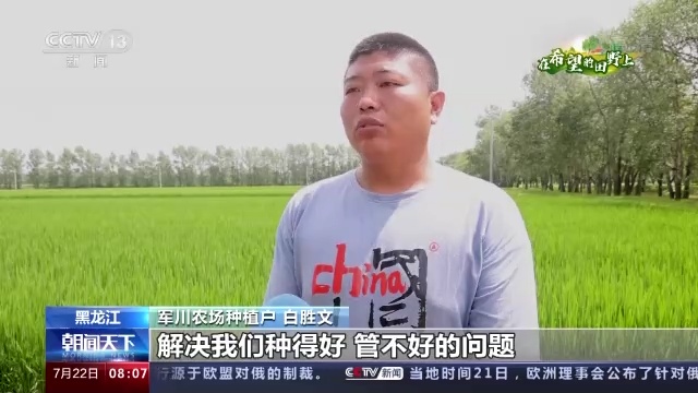 在希望的田野上丨盛夏农忙时 看粮食生开云 开云体育平台产新方式都有啥(图5)