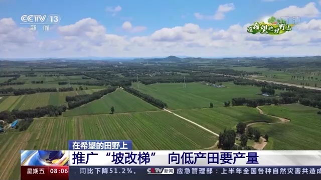 在希望的田野上丨盛夏农忙时 看粮食生开云 开云体育平台产新方式都有啥(图4)