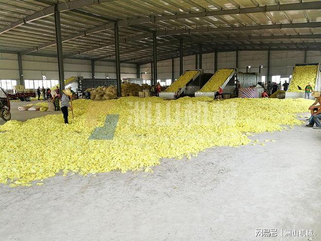 烘开云 开云体育平台干设备为粮食加工夯实质量保障(图5)