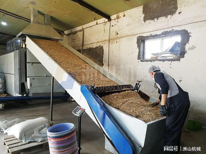烘开云 开云体育平台干设备为粮食加工夯实质量保障(图3)