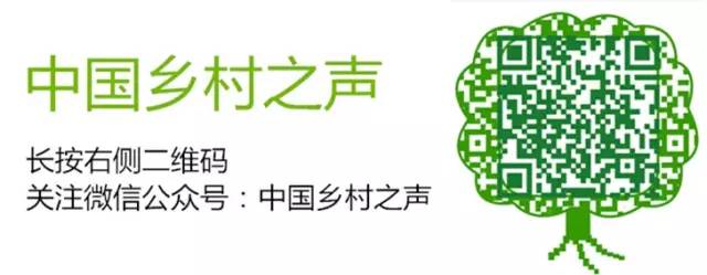 人Kaiyun 开云体育家的稻谷最后能进钢厂炼钢 凭啥不比你多赚钱！(图4)
