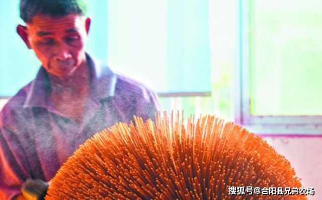开云 开云体育官网藏在农村不起眼可以垄断的暴利小生意致富项目(图3)