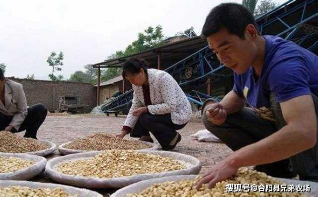 开云 开云体育官网藏在农村不起眼可以垄断的暴利小生意致富项目(图4)