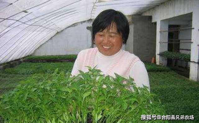 开云 开云体育官网藏在农村不起眼可以垄断的暴利小生意致富项目(图7)