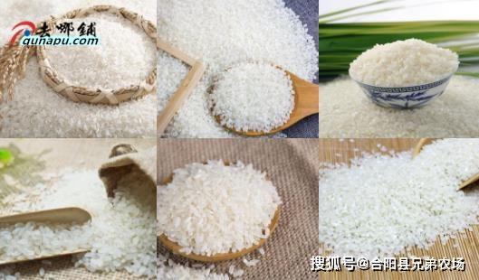 Kaiyun 开云小厂开个两万的不愁销路的小型加工厂(图2)