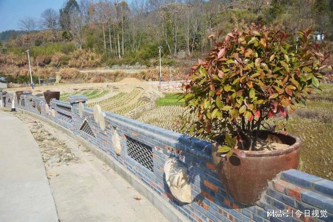 开云 开云体育平台山村村民将石磨装墙上不加工一粒粮食却称增加了收入(图8)