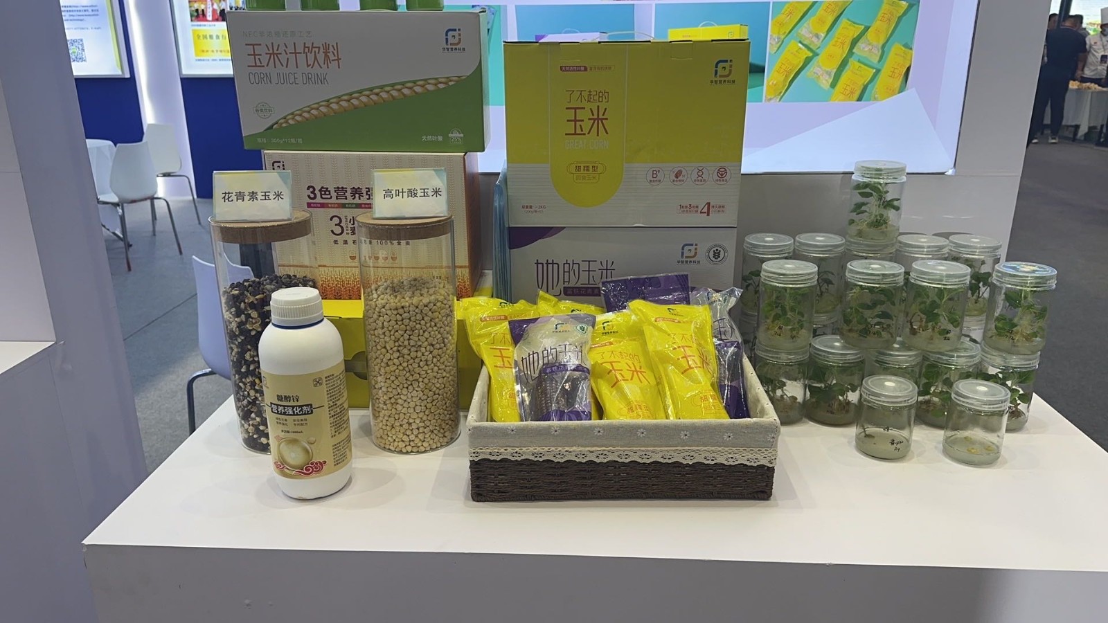 Kaiyun 开云体育聚焦第五届中国粮食交易大会(图4)