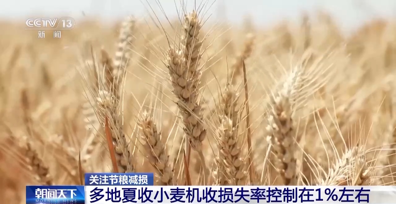 开云APP 开云官网入口节粮减损=粮食增产 守好大国的“无形”粮仓(图2)