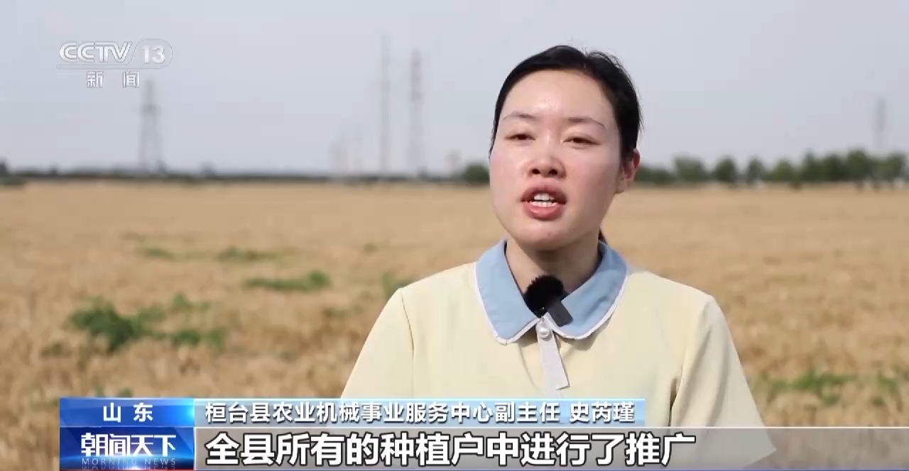 开云APP 开云官网入口节粮减损=粮食增产 守好大国的“无形”粮仓(图4)