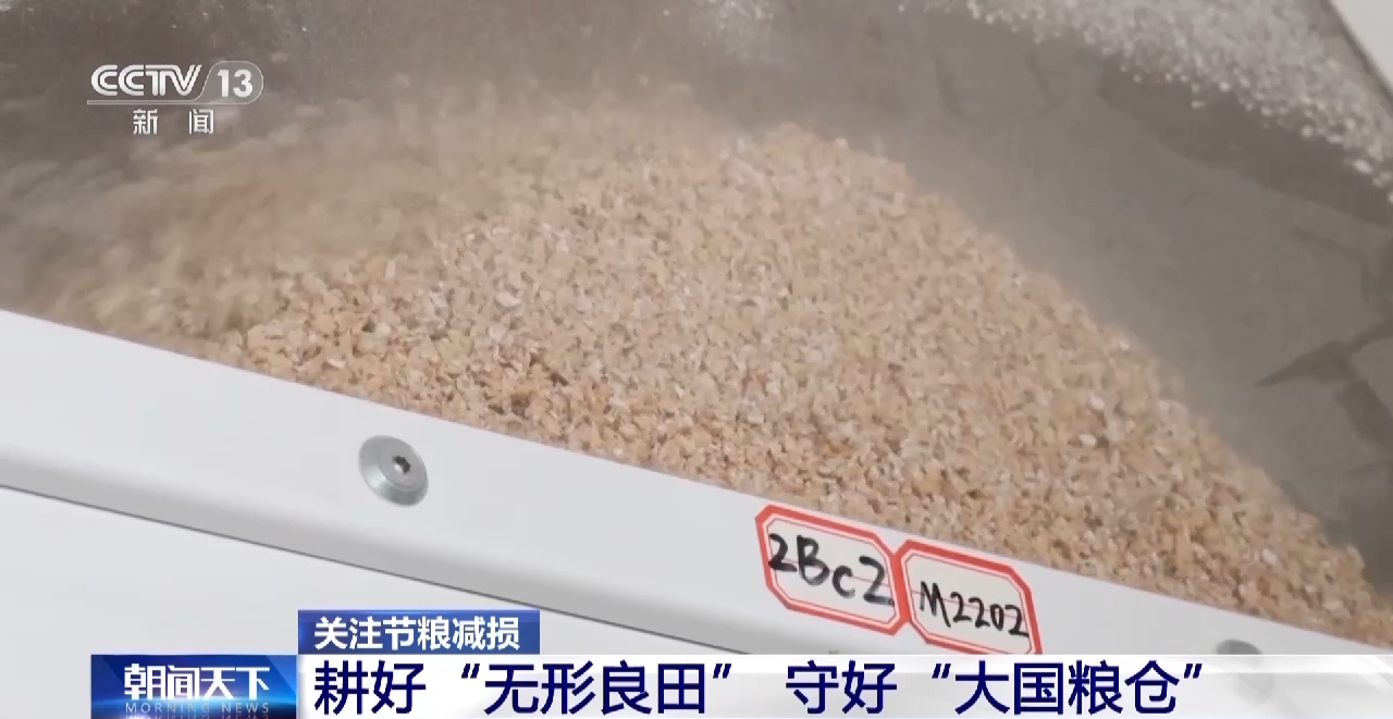 开云APP 开云官网入口节粮减损=粮食增产 守好大国的“无形”粮仓(图18)