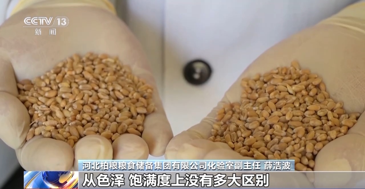 开云APP 开云官网入口节粮减损=粮食增产 守好大国的“无形”粮仓(图13)
