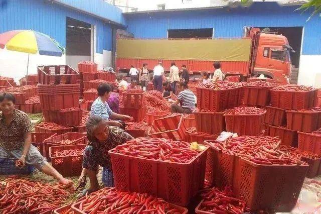 如何赚到100万？农村这9个暴利加工厂非常适合你返乡创业来干！Kaiyun 开云体育(图2)