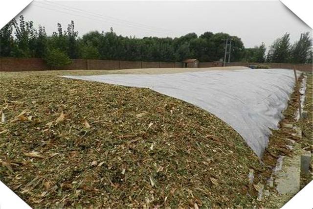 开云APP 开云官网入口10万元在农村可以开办哪些加工厂？推荐几个供参考(图4)