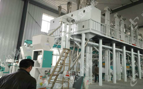 玉米加工机械开云APP 开云官网入口厂家对粮食产业科学发展提出的新建议(图1)