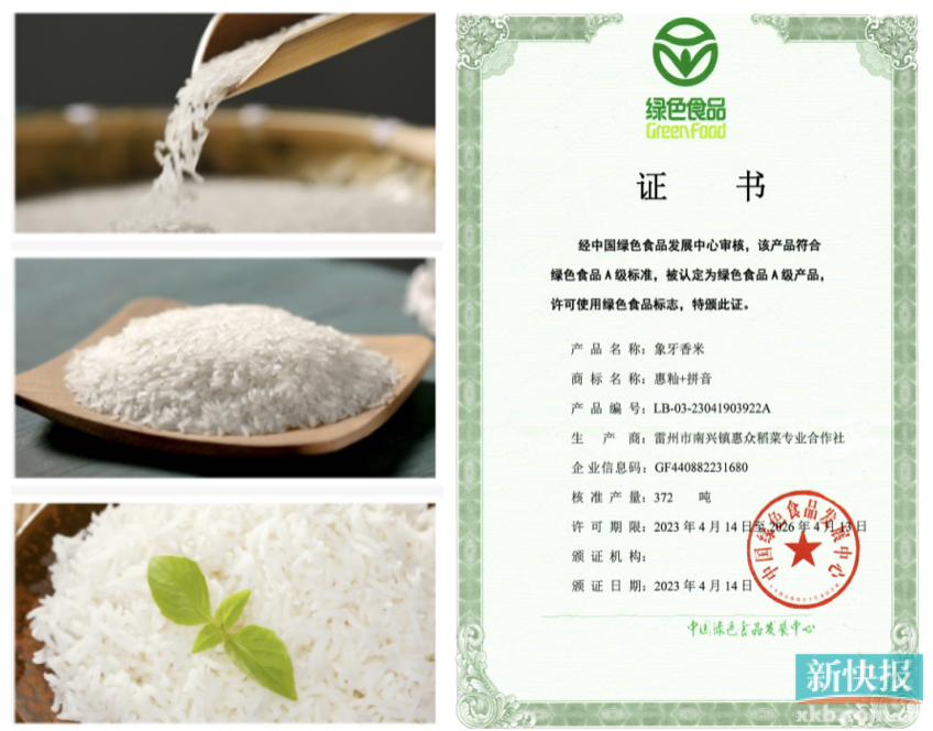 开云体育 开云官网广州驻湛江市南兴镇工作队：多措并举推动粮企华丽转身 夯实粮食安全根基(图2)