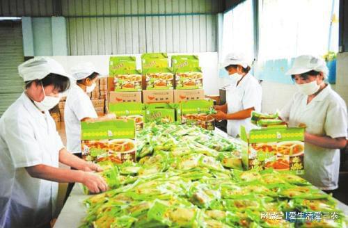 开云体育 开云官网这六个加工项目的确很赚钱但也较大资金雄厚的可以考虑！(图13)