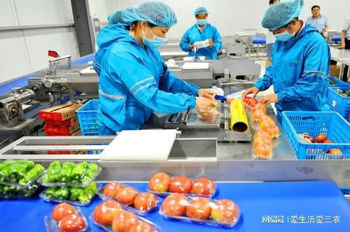 开云体育 开云官网这六个加工项目的确很赚钱但也较大资金雄厚的可以考虑！(图14)