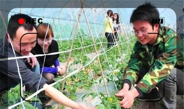 开云 开云体育平台不起眼的暴利小生意 月入2万的10个小生意 农村不起眼的商机(图4)