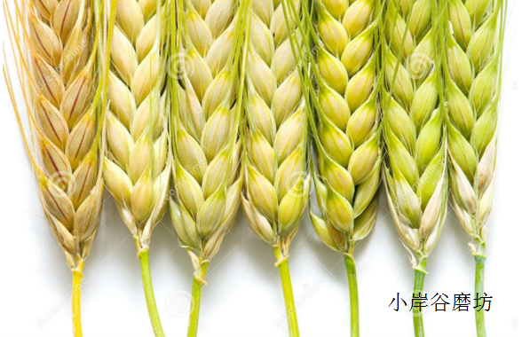 开云 开云体育平台五谷杂粮粥的做法各种五谷杂粮粥食材搭配方法！(图4)