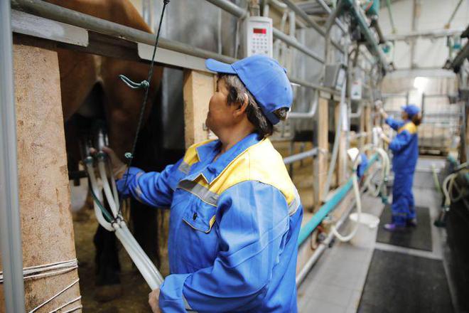 开云APP 开云官网入口酸奶吧项目创业模式来源于哪里店铺怎么开呢？(图2)