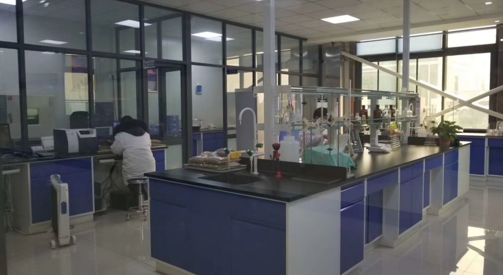 开云体育 开云平台走进宠物产业基地--南和 走进伊萨工厂(图3)
