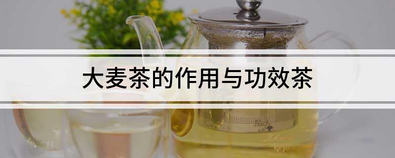 大麦茶的作用与功效茶开云 开云体育平台(图1)
