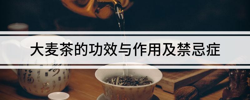 大麦茶的功效与作用及禁忌症开云体育 开云平台(图1)
