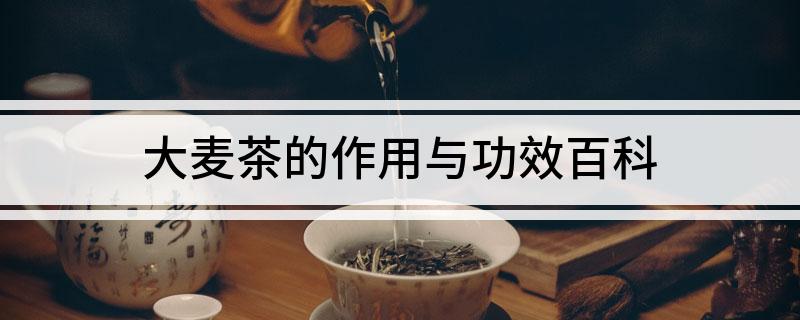 开云体育 开云平台大麦茶的作用与功效百科(图1)