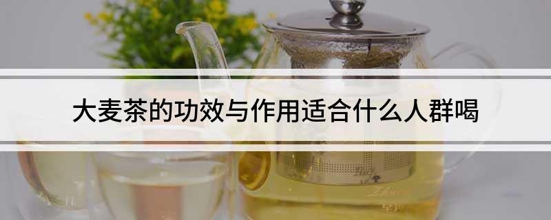 大麦茶的功效与作用适开云 开云体育平台合什么人群喝(图1)