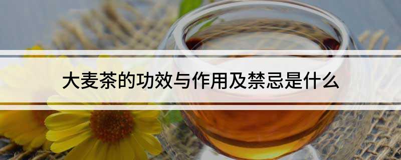 大麦茶的功效与作用及禁忌是什开云体育 开云官网么(图1)
