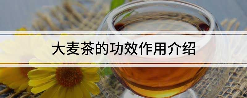 开云 开云体育平台大麦茶的功效作用介绍(图1)