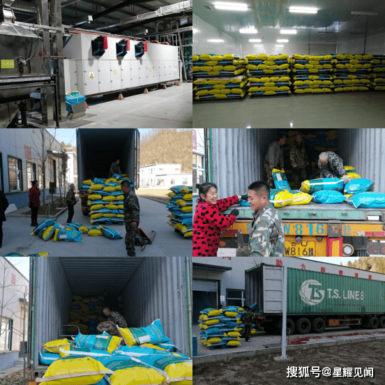 Kaiyun 开云卢氏县双槐树乡：宠物粮食品抢占东南亚市场(图2)