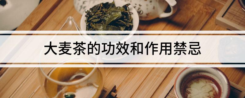 大麦茶的Kaiyun 开云体育功效和作用禁忌(图1)