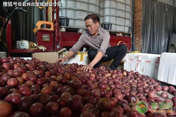 2021年农产品加工补贴标准是多少？如何申请？开云体育 Kaiyun.com 官网入口(图3)