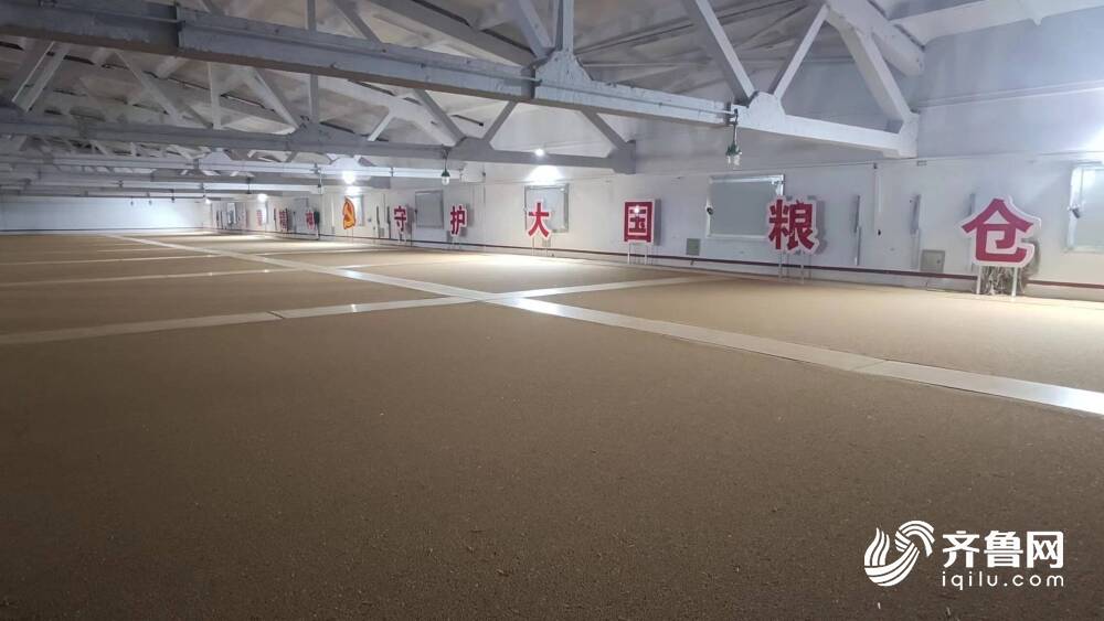 节粮减损、优化流通模式临沂市多措开云APP 开云官网入口并举确保粮食安全(图2)