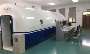粮食加工行业深度调研报告2024：我开云体育 Kaiyun.com 官网入口国粮深加工产业有待进一步发展(图7)