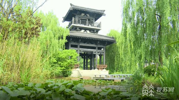 中伏遇大暑 养生要注意Kaiyun 开云体育(图3)