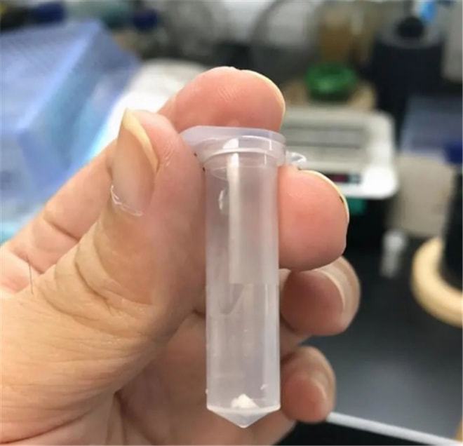 传统农业被颠覆科学界传来喜讯开云 开云体育平台：淀粉能人工合成了！(图5)